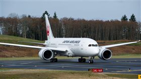 日本航空787夢幻客機。（圖／翻攝自Japan Airlines臉書）