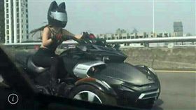 貓女,神力女超人,重機,台中(爆料公社)