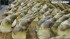 綠竹筍,竹筍,牛角形,苦,煮法,農委會