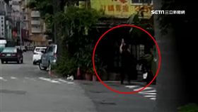 BB槍射保育禽鳥?! 網友痛批:太殘忍