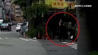 BB槍連續射擊　疑保育鳥類遭射殺