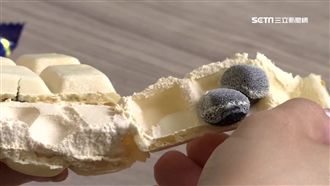 超商冰品大戰　珍奶冰棒月銷20萬支