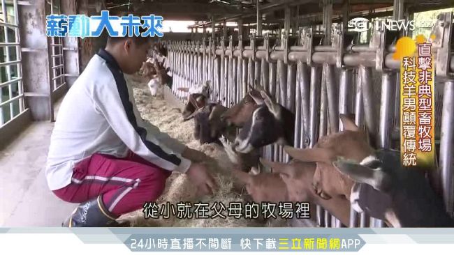 羊男善用科技管理　牧羊如帶兵打仗