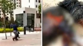 中國大陸,貪吃,狗狗,汪星人,餃子,斬斷,韌帶,飼主,虐狗（圖／翻攝自微博）