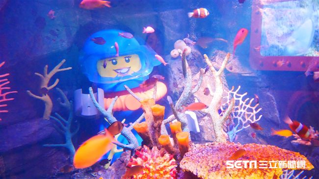 名古屋樂高水族館　浦島太郎現身龍宮