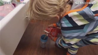 「這是日常啦！」淡定反應萌翻網友