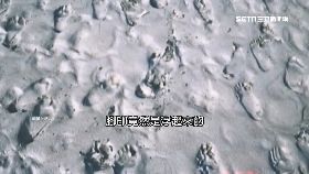 白沙媽顯靈0900