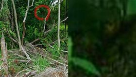 台南白河,女網友亂拍拍出靈異照（圖／爆廢公社）