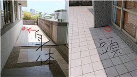 貓屍,割頭,小學,宜蘭（圖／翻攝自臉書《愛貓聯盟》）