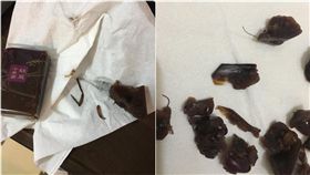 義美,羊羹,蟑螂,食安(爆料公社)