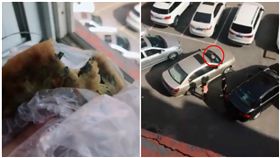 正妹打槍癡情男「天上掉餡餅才交往」　下一秒真的掉了
圖/翻攝自秒拍