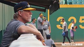 中信兄弟史耐德總教練。（圖／記者王怡翔攝）