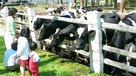 那須千本松牧場。（圖／翻攝自那須千本松牧場官網）