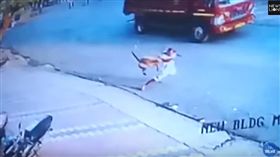 印度潑猴不斷攻擊村民（圖／翻攝自YouTube）