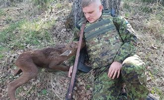 阿兵哥遇走失小鹿　友愛舉動超暖心