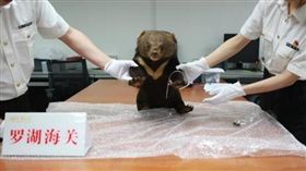 中國大陸一隻年幼黑熊遭殘殺後製成標本（圖／翻攝自中新網）
http://www.chinanews.com/sh/2018/05-16/8515594.shtml