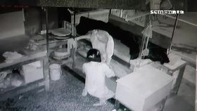 怪偷公仔豬g1600