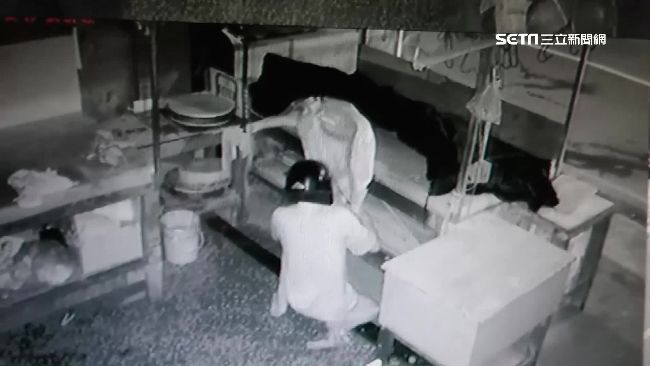 偷上癮！男才偷公仔問訊完又偷豬肉