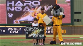 中信兄弟王勝偉200盜表揚儀式。（圖／記者王怡翔攝）