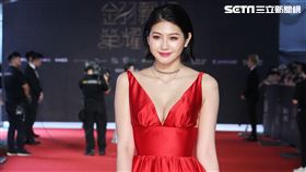 四葉草（圖／記者邱榮吉攝影）