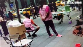 陳女持假公文在信義商圈為流浪狗募款，遭警方依偽造文書罪移送法辦（翻攝畫面）