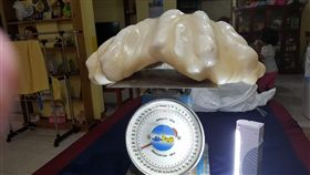 世界最大珍珠　圖／翻攝自Aileen Cynthia Maggay-Amurao臉書