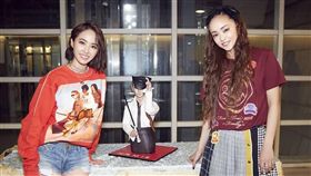 安室奈美惠,蔡依林,翻糖蛋糕,翻攝自蔡依林臉書