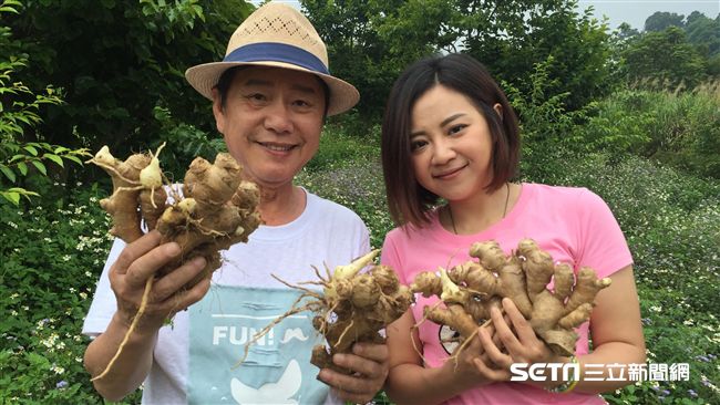 薑麻軟糖帶動客家村　列入課本當教材