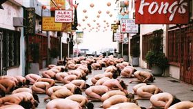 澳洲,墨爾本,Spencer Tunick,裸照,Yarra River,Chapel St,裸體,藝術,攝影,拍照　圖／翻攝自Spencer Tunick 官網 https://goo.gl/5xCpNY