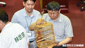 台北市長柯文哲出席市議會專案報告。 （圖／記者林敬旻攝）