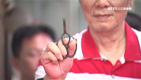 老店熄燈! 陣頭送蛇靈 