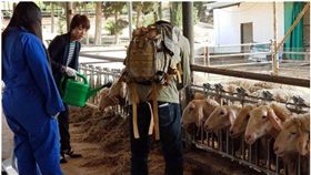 學農業就是愛國！看以色列以農爭地