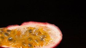 百香果（圖／攝影者Jonathan Beilin　CC License／網址https://bit.ly/2KJzAhB）