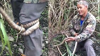 搏感情！遭蛇纏身　「厚話」演很大