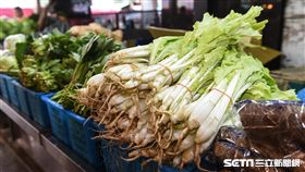 過年,年貨,市場,青菜,菜價。 圖／記者林敬旻攝