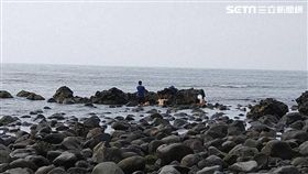 新北,北海岸,天體營,裸體,爆料公社,拍照（圖／翻攝爆料公社）