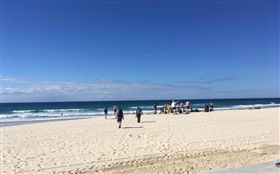 黃金海岸；翻攝自推特