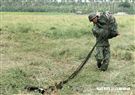 傘兵從1300英呎高空跳出。 （圖／記者邱榮吉攝）