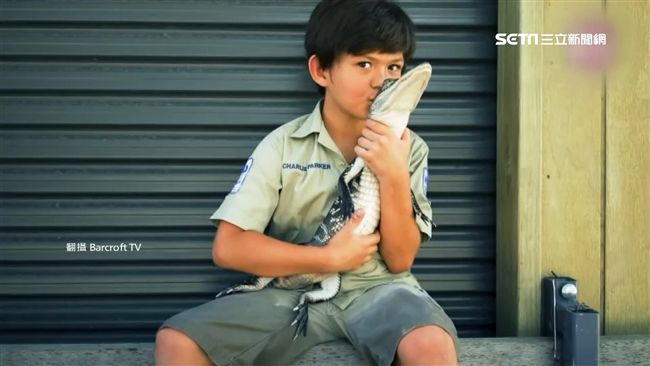 最萌飼養員！8歲童「跟鱷魚玩親親」