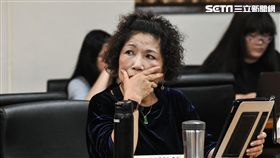 葉毓蘭出席「充實警消人力裝備，檢討待遇福利及退撫制度」公聽會。 （圖／記者林敬旻攝）