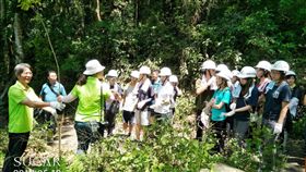 大學生手植梭羅木　打造台灣爺蟬棲地（1）為保育台灣爺蟬，嘉義大學樵夫志工隊日前在嘉義縣番路鄉草山村種植100株台灣梭羅木，盼打造台灣爺蟬良好棲地。（嘉義林管處提供）中央社記者江俊亮傳真　107年5月22日