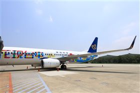 花現台中彩繪飛機。（圖／台中市政府）
