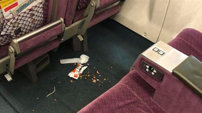 小孩搭高鐵亂丟垃圾　辣媽只顧滑手機