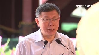 柯P組刺客聯盟抗藍綠？綠議員求放過