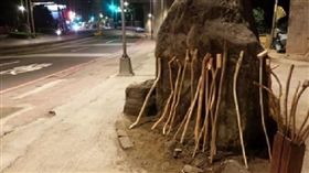 新北,木棍,臉書,驅狗棒,浪浪,龍泉路（圖／翻攝臉書）