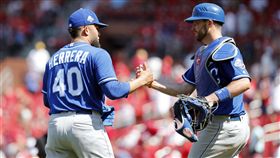 ▲皇家捕手Drew Butera（右）。（圖／美聯社／達志影像）