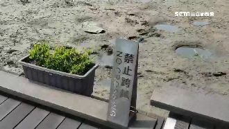 蘭陽博物館旁水塘乾涸　9年來首見