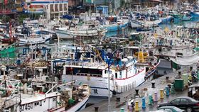 漁船,漁業,遠洋漁業,漁夫,圖/翻攝自Greenpeace 綠色和平 (台灣網站)臉書