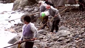 北韓豐溪里隔鄰　直擊潮間帶漁經濟