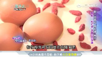 高檔枸杞當飼料　台首批枸杞蛋問世